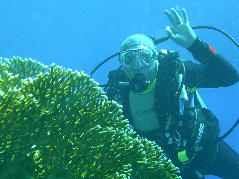 SAFAGA 07  2008 102.jpg